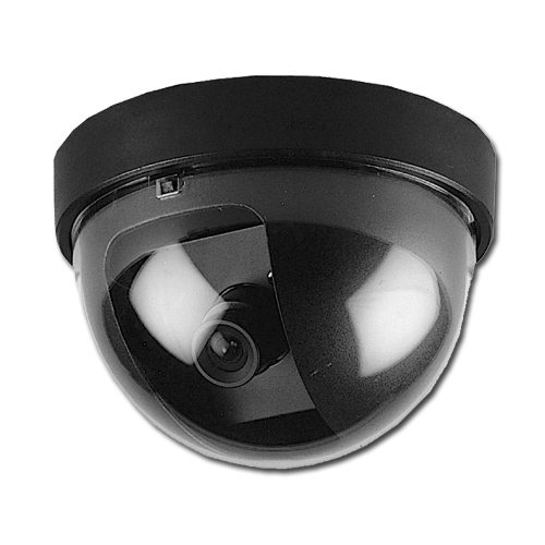 Russian Regular Dome Camera For CCTV large image 0