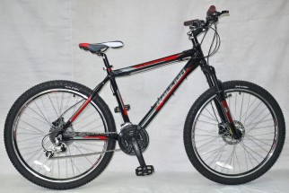 RALEIGH TALUS 4.0