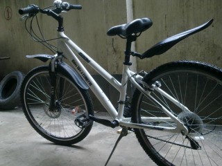 Raleigh Zoom for Sell