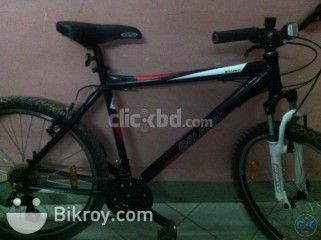 Raleigh Storm Fresh Condition Urgent Sell 