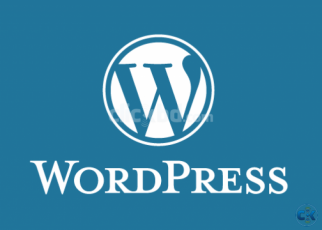 Wordpress Expert Web Developer Needed