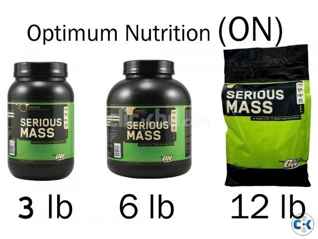 SERIOUS MASS SERIOUS WEIGHT GAINER  large image 0