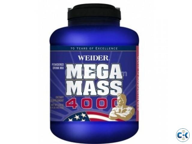 Mega Mass 4000 8.9 lb large image 0
