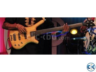 warwick fretless bass guitars