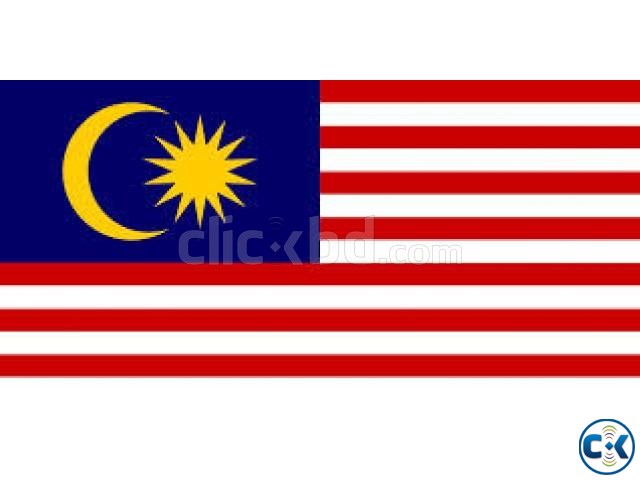 Work permit malaysia visa large image 0