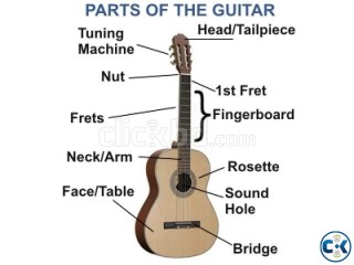 Learn guitar at home