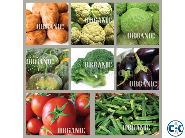 Organic Vegetables large image 0