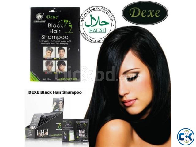 Dexe Herbal Black Hair Shampoo 25ml large image 0
