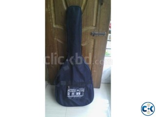 Givson Acquistic Guiter- with 4 years warranty