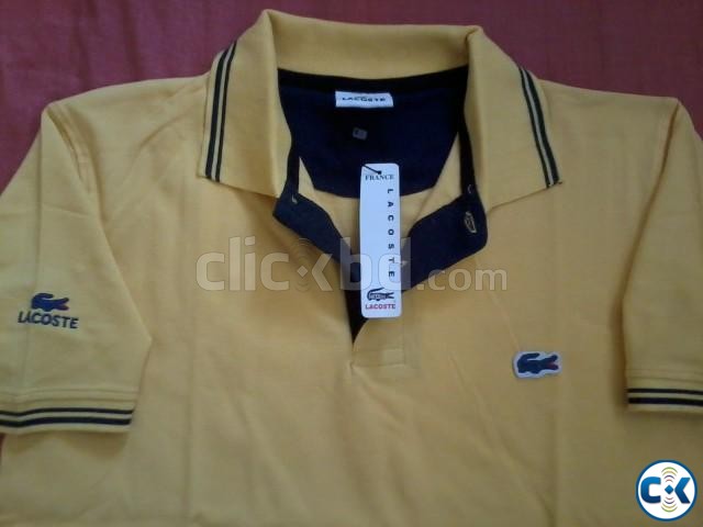 Lacoste polo t shirt for show room buyer large image 0