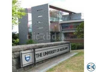  Hot Offer Studying in New Zealand 