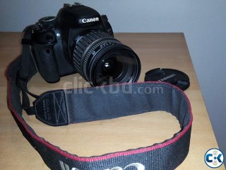 Canon EOS 600D with Tamron 17-50mm f 2.8