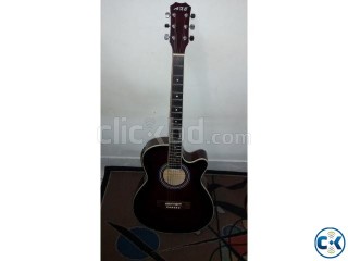 AXE Acoustic with built in 5 Band Micro Processor.