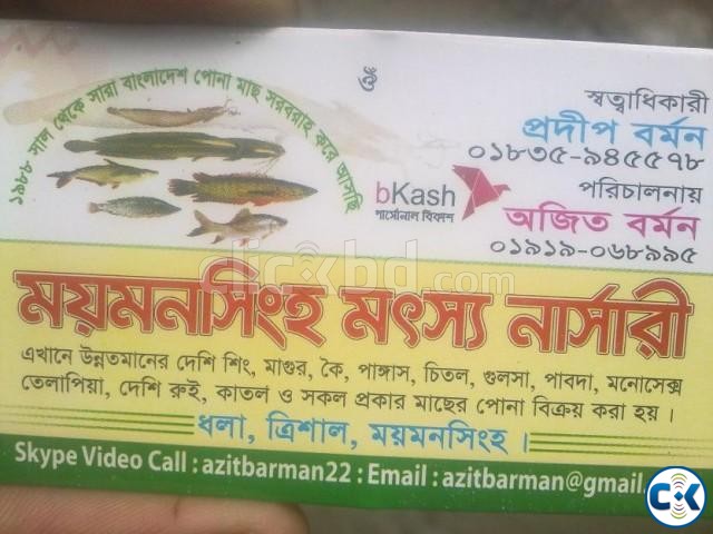 Fish farming in bangladesh large image 0