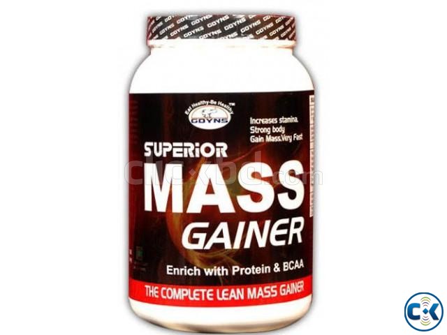 Gdyns Superior Mass Gainer 1kg large image 0