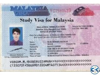 professional visa malaysia