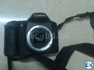 Canon 40d cheap rate 