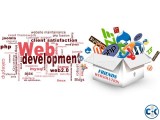Web and Software Programmer Developer