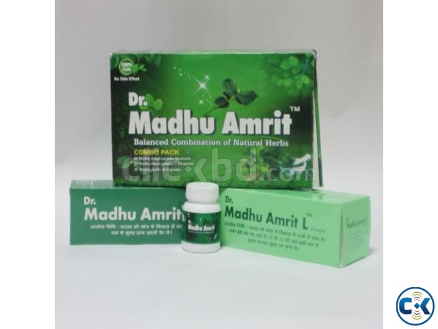 Dr. Madhu Amrit large image 0