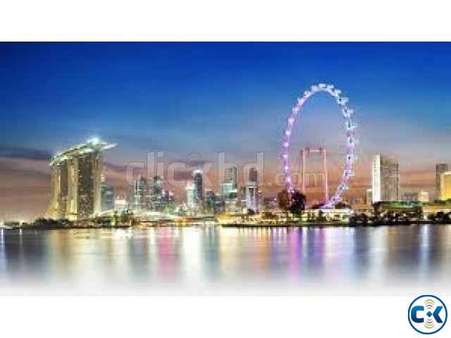Singaore visa with invitation large image 0