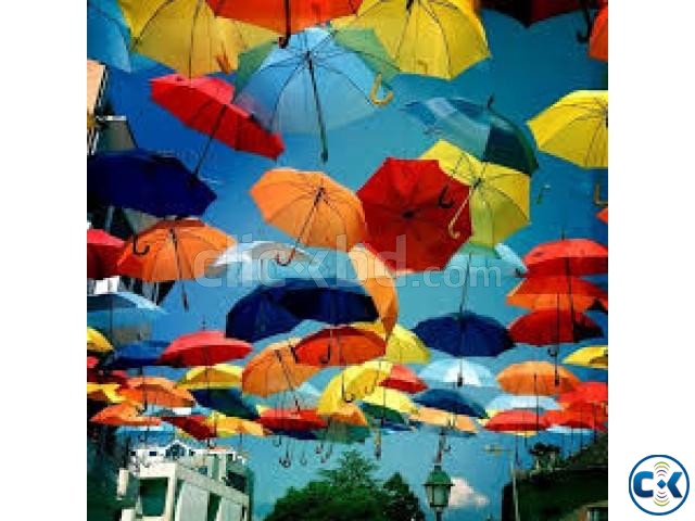 Umbrella large image 0