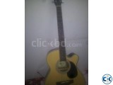 Acoustic Guitar... Model Acoustica.. A-81C Full fresh...