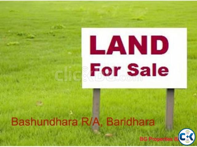 10 katha Plot Land at C Block Bashundhara large image 0