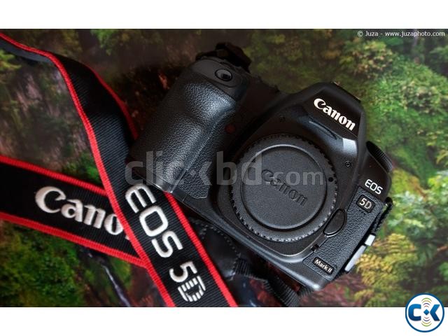 Canon 5D Mark ii large image 0