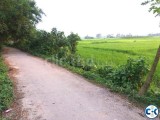 Carpeting Road Attach Gorgeous Land For Any Kind of Agro