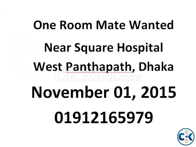 One Room Mate Wanted at West Panthapath Dhanmondi large image 0
