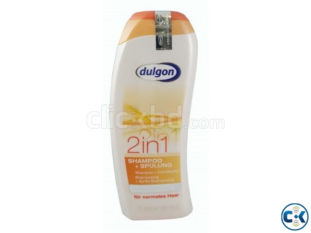 dulgon 2in1 shampoo large image 0