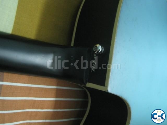 Signature Series BISWAS Acoustic Guitar large image 0