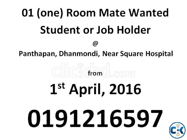 One Room Mate Wanted Panthapath from April 2016 large image 0