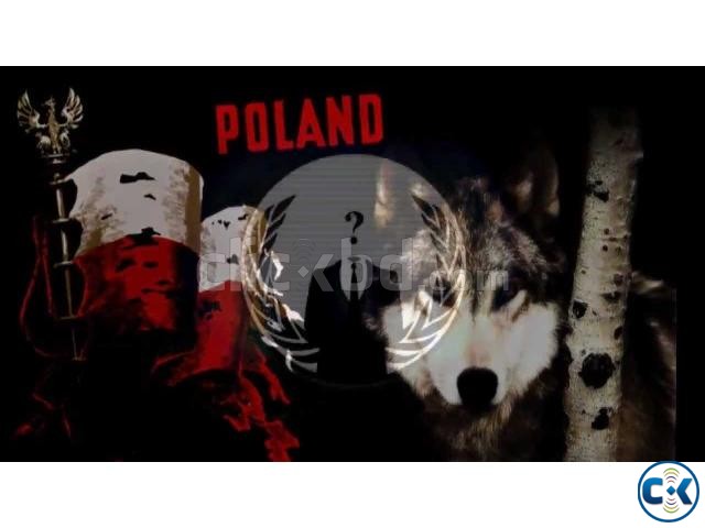 Poland work permit visa large image 0