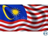 Malaysia Professional Work Visa DP-10 