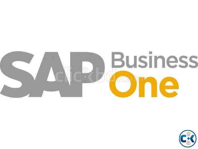 SAP Business One 8.8 PL10 large image 0