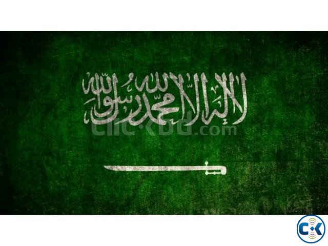 Saudi Arabia free visa large image 0