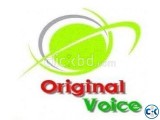Original voice Today phone admin