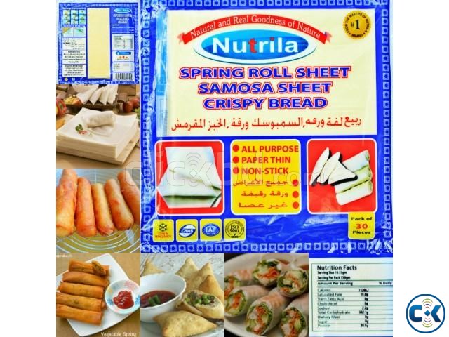 Frozen spring roll pastry sheets large image 0