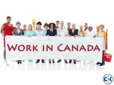 Job opportunity in CANADA 