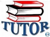 Outstanding Lady Tutor required