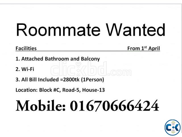Roommate Wanted Mirpur large image 0