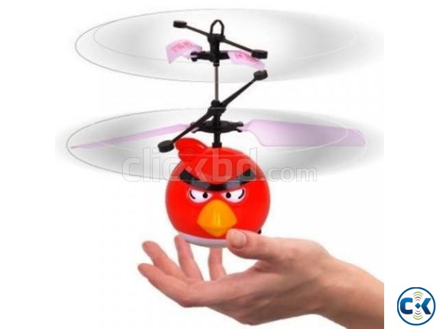 FLYING ANGRY BIRD-Magic in your hand large image 0