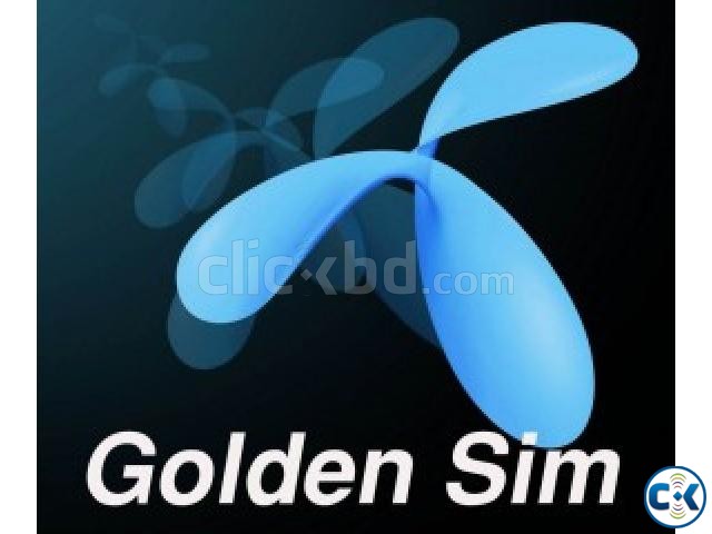 Golden 01711 Sim Sell... large image 0