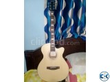 AXE Acoustic Guitar with Equalizer