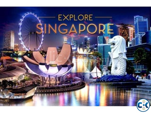 SINGAPORE TOURIST VISA large image 0