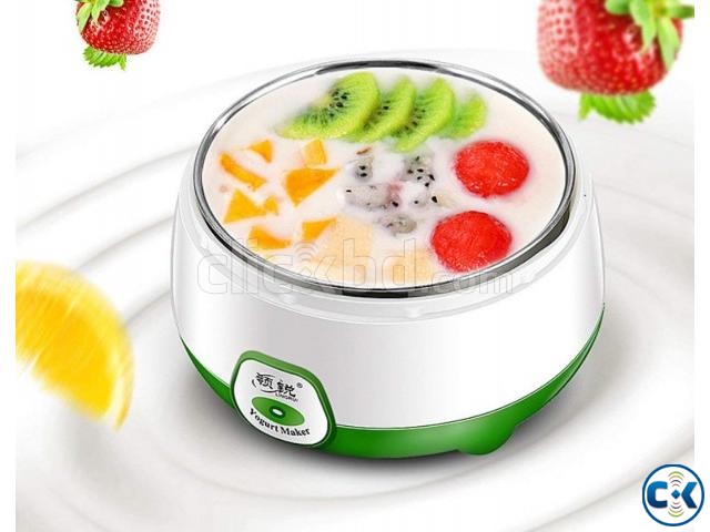 Electric automatic yogurt maker অটোমেটিক মিনি দই মেশিন large image 0