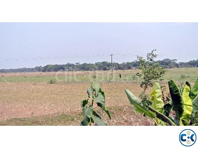 land for sale near Hemayetpur Bus Stand large image 0