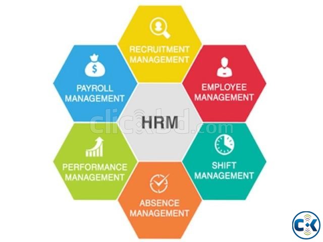 HR Management System large image 0