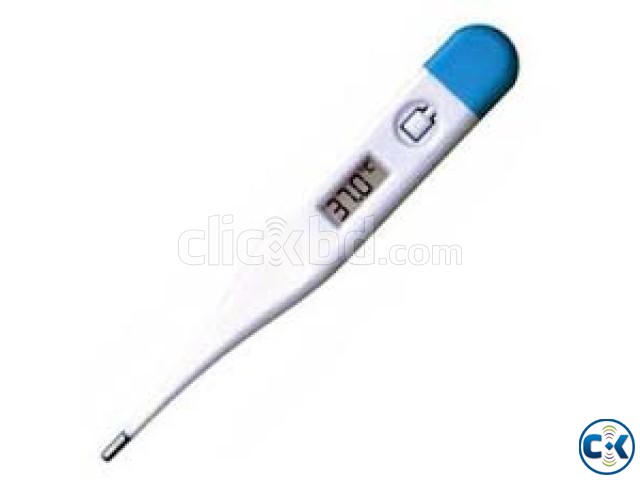 Digital Thermometer large image 0